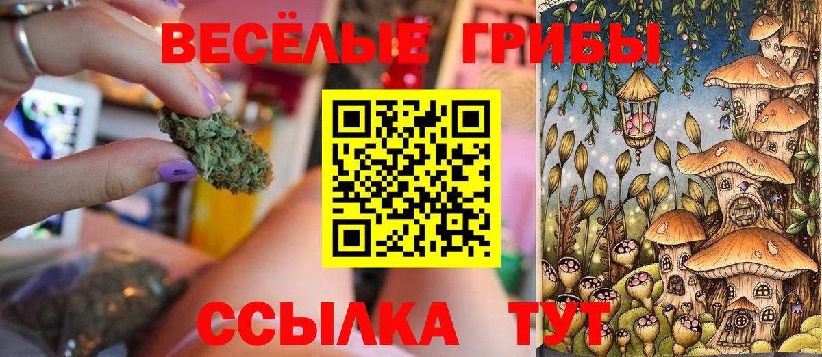 Галлюциногенные грибы GOLDEN TEACHER  Вход с VPN  купить наркоту  Ялта  Псилоцибиновые грибы мухоморы 